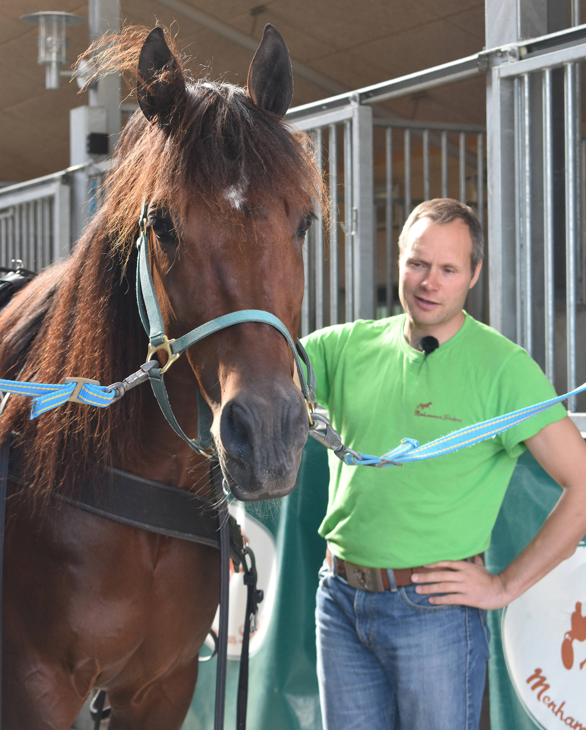 Två som skall vara med i Elitloppet för första gången, Who's Who och Pasi Aikio. Foto; A.Lindblom